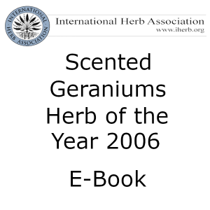 Scented Geraniums - E-book